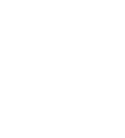 Emergent3